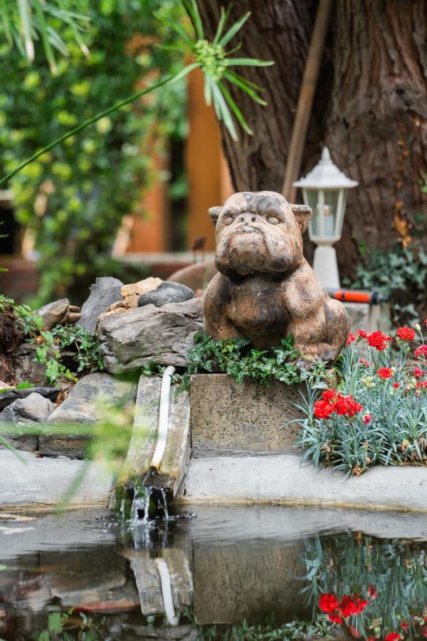 Villa Hortensia 巴涅尔德比戈尔 外观 照片