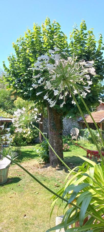 Villa Hortensia 巴涅尔德比戈尔 外观 照片